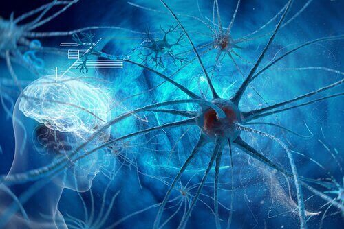 A close up of a brain neuron.