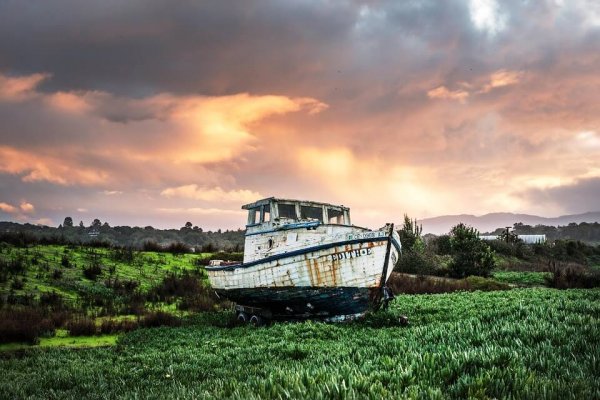 Identity and the Ship of Theseus