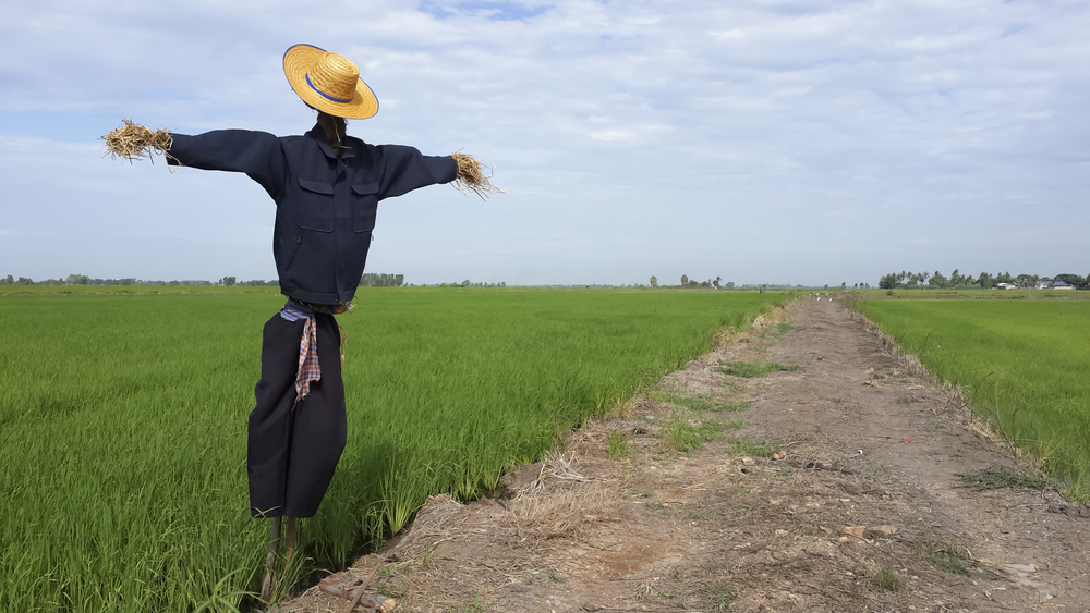 The Straw Man Fallacy Philosophy and Psychology Exploring your mind