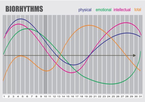 A biorhythms graph.