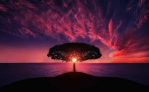 Ahimsa: The Philosophy of Integral Peace