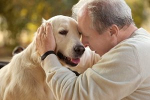 Animal-Assisted Therapy for Alzheimer's Patients