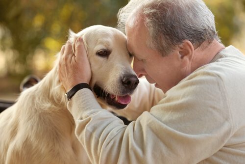 Animal-Assisted Therapy for Alzheimer’s Patients