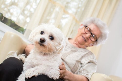 An older lady with a lap dog.