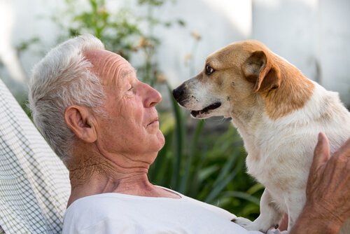 Vanhempi mies ja koira osoittavat rakkauttamme lemmikkejämme kohtaan.