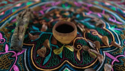 Ayahuasca poured into a cup.