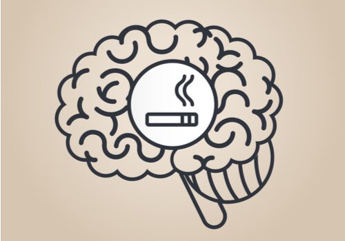 How Does Nicotine Affect the Brain?