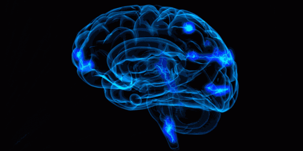 An animation showing a brain's activity as neurons and synapses are firing.