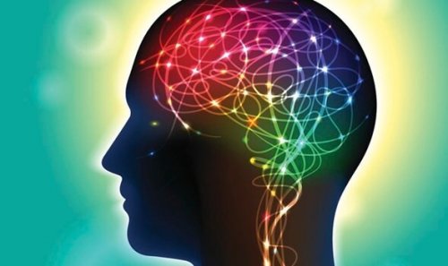 These colorful pathways represent activity in your brain.