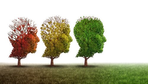 Head-shaped trees representing cognitive impairment.