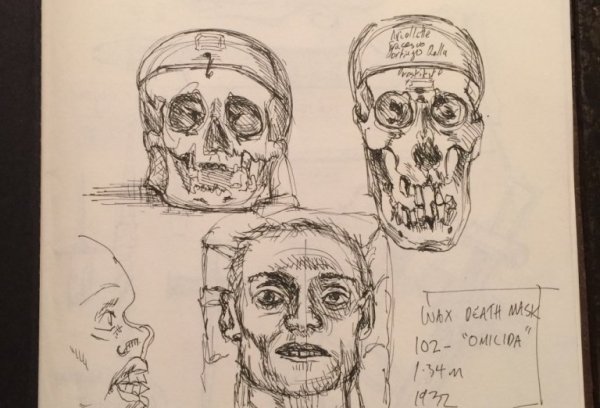 An image showing pencil drawings of skulls of various shapes.