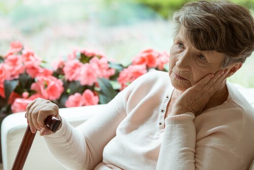 Elderly Life: Loneliness at the Nursing Home