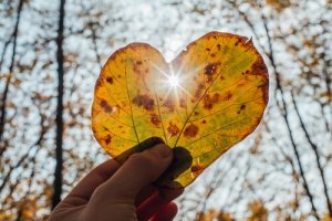 Wabi-Sabi: The Beauty of Imperfection