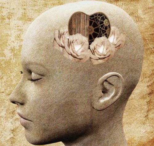 A human head with heart symbol inside.