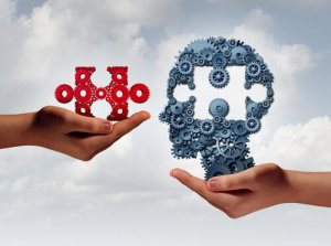 Developing Innate and Learned Abilities