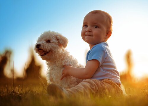 A little boy with his dog.