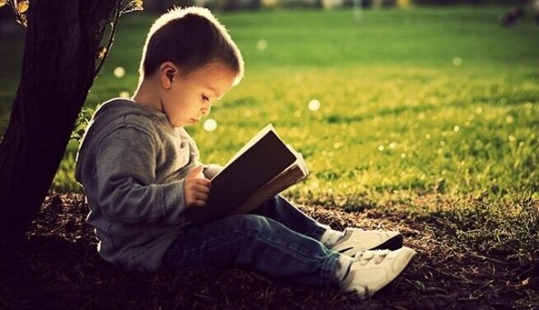 A young child sitting under a tree reading a book.