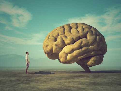 Man in front of a brain discovering brain facts.