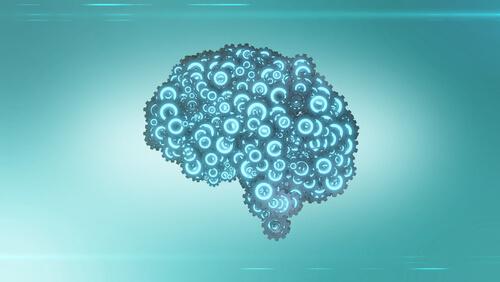 A brain composed of nuts representing apprenticeship through a teaching machine.