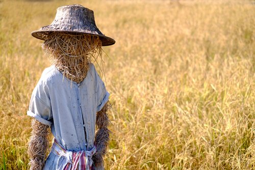 The Straw Man Fallacy
