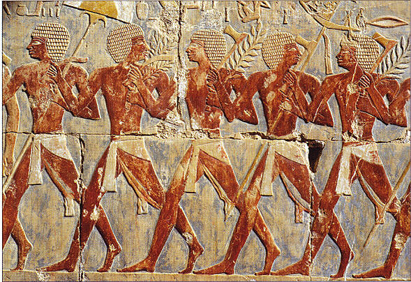 A representation of Egyptian infantry.
