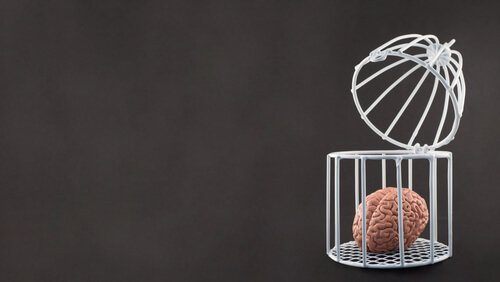 A brain in a cage.