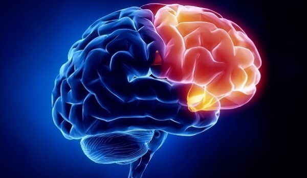 A photo of a brain, showing the guilt area in red.