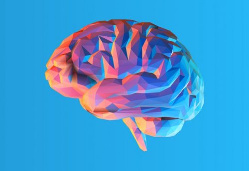 A colorful brain in a blue background.