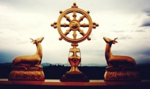 Dharma, a Path Toward Truth and a Meaningful Life