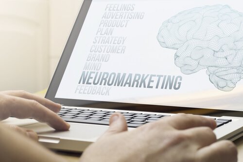 A person on the computer doing research on neuromarketing.