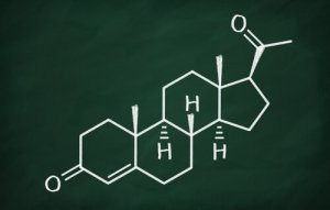 Progesterone: Characteristics and Functions