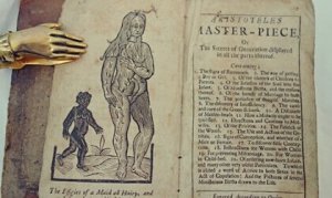 The Ancient Forbidden Sex Manual