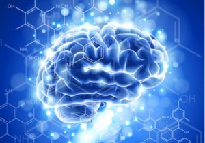 The Characteristics and Development of Neuroethics