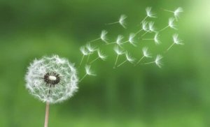 Use the Law of Least Effort to Manage Stress