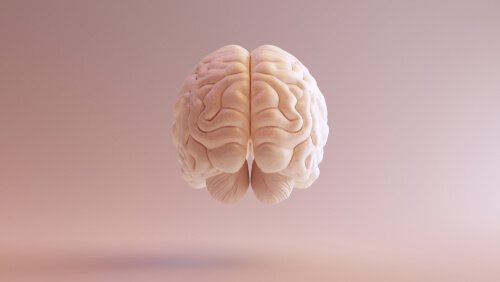 A pink brain floating off the ground.