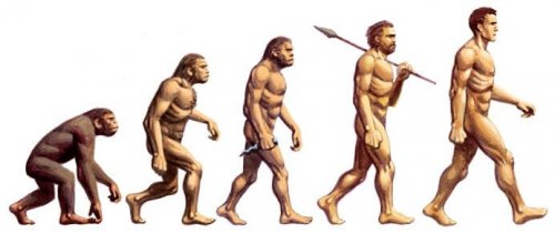 The evolution of man.