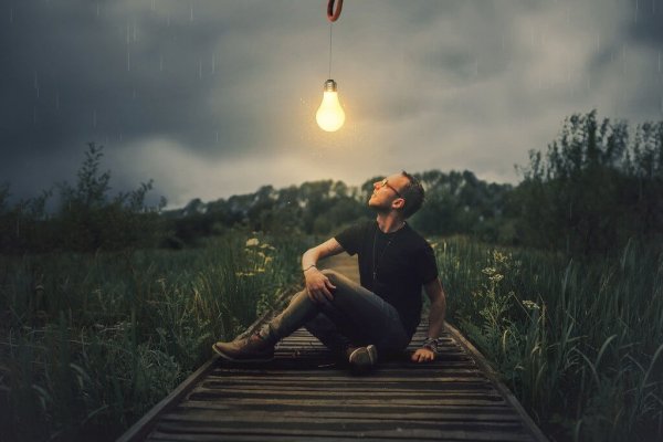 A man sitting in the middle of a wooden plank walkway over a field of bushes, with a lightbulb hanging over his head. 