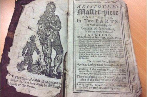 A page of an ancient sex manual.