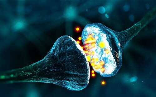 A digital illustration showing one of the types of synapses, where two neurons are connecting with particles being exchanged between them.