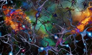 Acetylcarnitine Deficiency and Depression