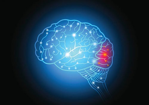 A lit up brain, brighter in the occipital lobe region.
