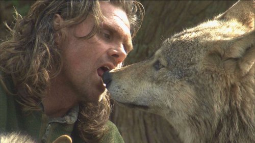 A man playing with a wolf.