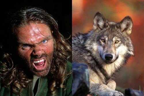 Shaun Ellis and wolf.
