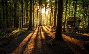 The Three Answers: A Story about Differences