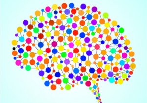 The 97 Previously Unknown Areas of the Brain