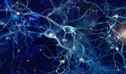 A group of neurons during sleep.