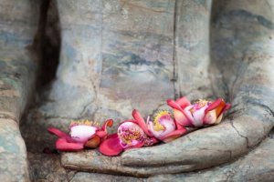 The Four Aspects of Love in Buddhism
