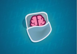 What Happens to Our Neurons during Sleep?