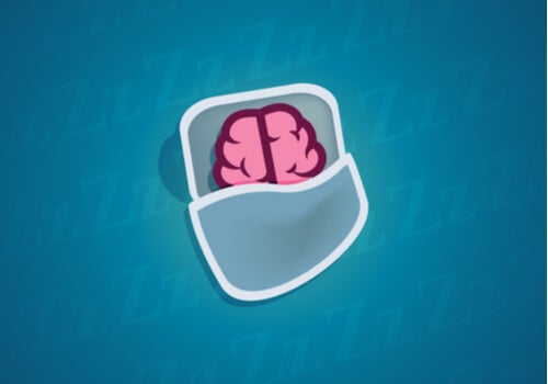 What Happens to Our Neurons during Sleep?