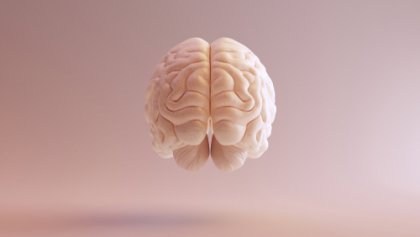 A brain suspended in the air.